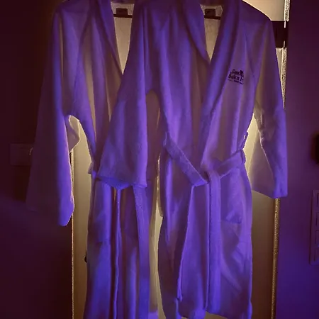 Hotel Manor & Beerspa Saku